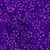 Purple Daisy